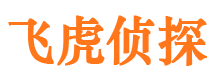 西华市私家侦探